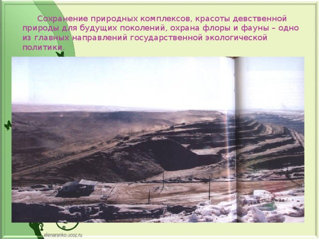  Сохранение природных комплексов, красоты девственной природы для будущих поколений, охрана флоры и фауны – одно из главных направлений государственной экологической политики. 