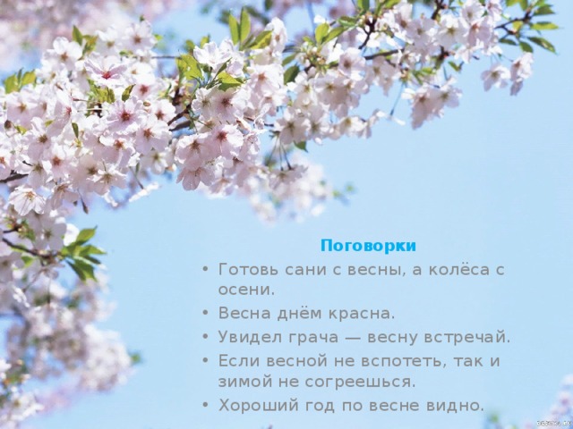 Поговорки Готовь сани с весны, а колёса с осени. Весна днём красна. Увидел грача — весну встречай. Если весной не вспотеть, так и зимой не согреешься. Хороший год по весне видно. 