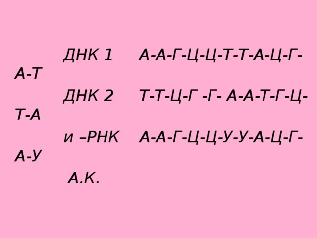 А т г ц. ДНК А Г Т Ц. Днк1 а-г-т-ц-ц-г-г-ц-а. Цепь ДНК А-А-Г-Г-Ц-Ц-Ц-Т-Т. ДНК А Т Г Ц А Т Г.