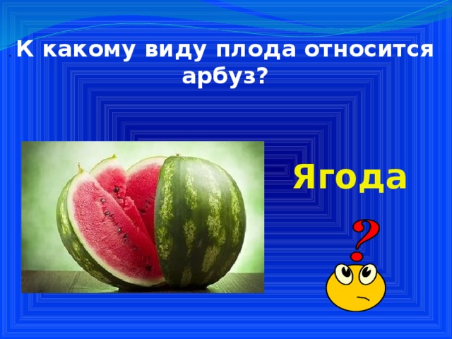 Плод арбуза ответ. Арбуз вид плода. Арбуз это ягода или овощ. К какому видно виду относится Арбуз. Какому типу относится плод арбуза.