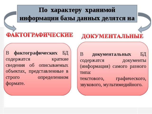 Виды информации в базе данных