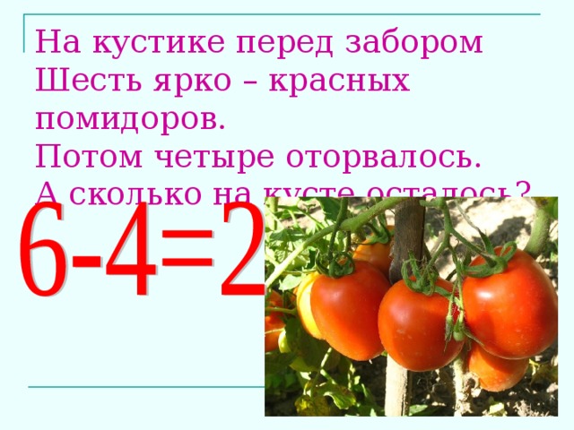 На кустике перед забором  Шесть ярко – красных помидоров.  Потом четыре оторвалось.  А сколько на кусте осталось? 