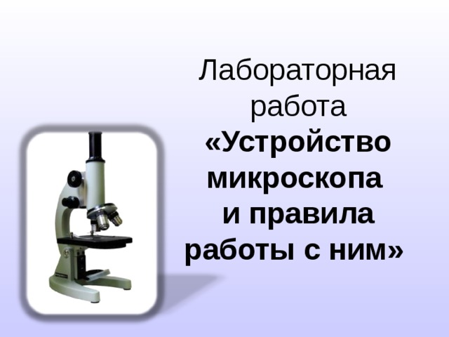 Лабораторная работа «Устройство микроскопа  и правила работы с ним» 