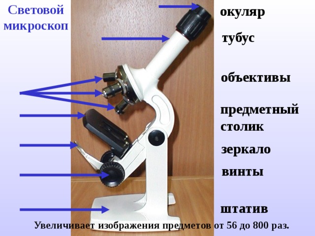 Световой микроскоп окуляр тубус объективы предметный столик зеркало винты штатив  Увеличивает  изображения предметов от 56 до 800 раз. 