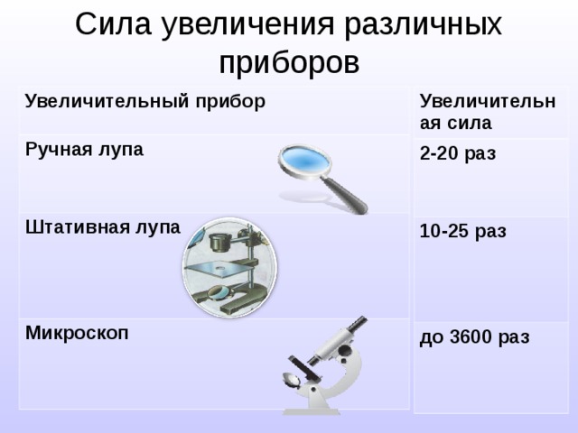 Увеличение микроскопа 10. Лупа и штативная лупа. Лупа штативная и микроскоп. Штативная лупа увеличение. Увеличение лупы и микроскопа.