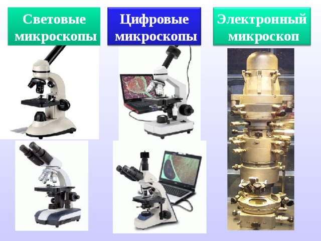 Световые  микроскопы Цифровые  микроскопы Электронный  микроскоп 