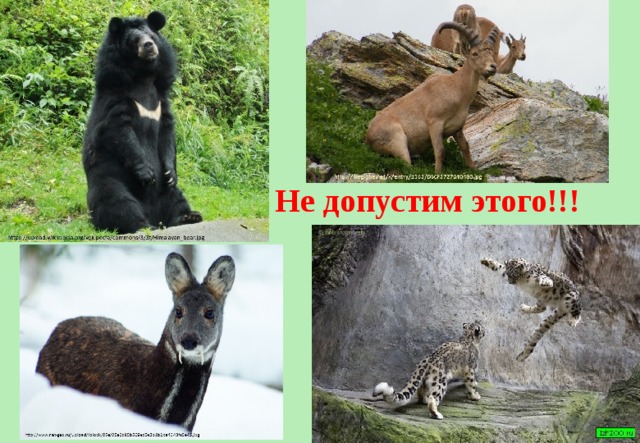 Не допустим этого!!! 