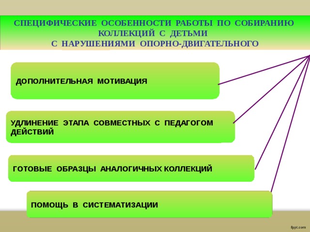 СПЕЦИФИЧЕСКИЕ ОСОБЕННОСТИ РАБОТЫ ПО СОБИРАНИЮ КОЛЛЕКЦИЙ С ДЕТЬМИ С НАРУШЕНИЯМИ ОПОРНО-ДВИГАТЕЛЬНОГО  ДОПОЛНИТЕЛЬНАЯ МОТИВАЦИЯ УДЛИНЕНИЕ ЭТАПА СОВМЕСТНЫХ С ПЕДАГОГОМ ДЕЙСТВИЙ ГОТОВЫЕ ОБРАЗЦЫ АНАЛОГИЧНЫХ КОЛЛЕКЦИЙ ПОМОЩЬ В СИСТЕМАТИЗАЦИИ 