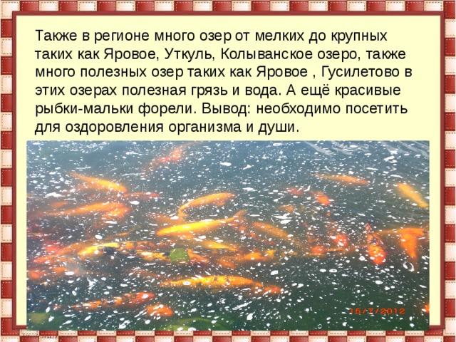 Также в регионе много озер от мелких до крупных таких как Яровое, Уткуль, Колыванское озеро, также много полезных озер таких как Яровое , Гусилетово в этих озерах полезная грязь и вода. А ещё красивые рыбки-мальки форели. Вывод: необходимо посетить для оздоровления организма и души. 