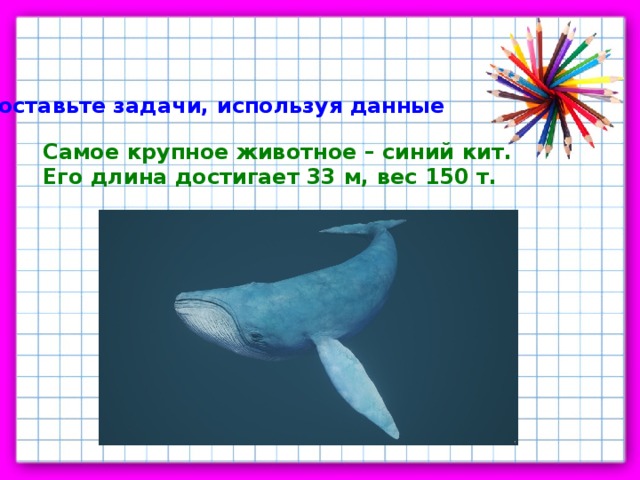 Какую длину имеют животные. Задания из синего кита. Синий кит кроссворд. Считалка про синего кита.