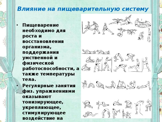 Упражнения на влияние. Влияние физических упражнений на систему пищеварения. Влияние упражнений на пищеварительную систему. Влияние физических упражнений на пищеварительную систему человека. Упражнения на основные системы организма.