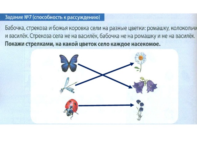 Четыре разных числа зашифрованы четырьмя рисунками ромашкой розой гвоздикой и колокольчиком