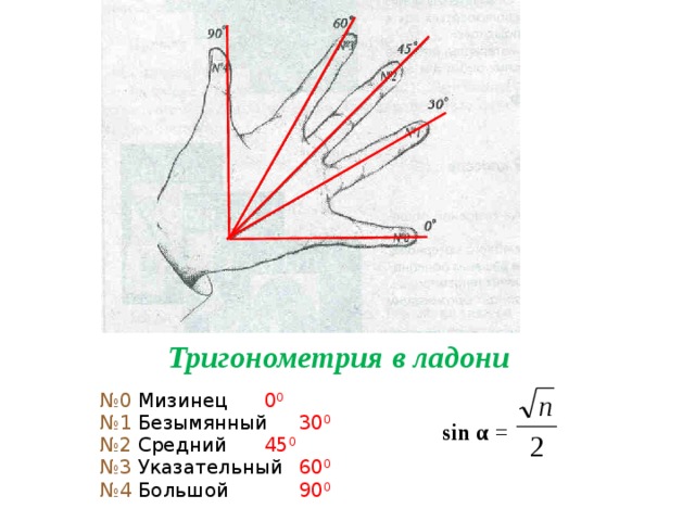 Тригонометрия в ладони № 0 Мизинец   0 0 № 1 Безымянный  30 0 № 2 Средний   45 0 № 3 Указательный  60 0 № 4 Большой   90 0 sin α = 