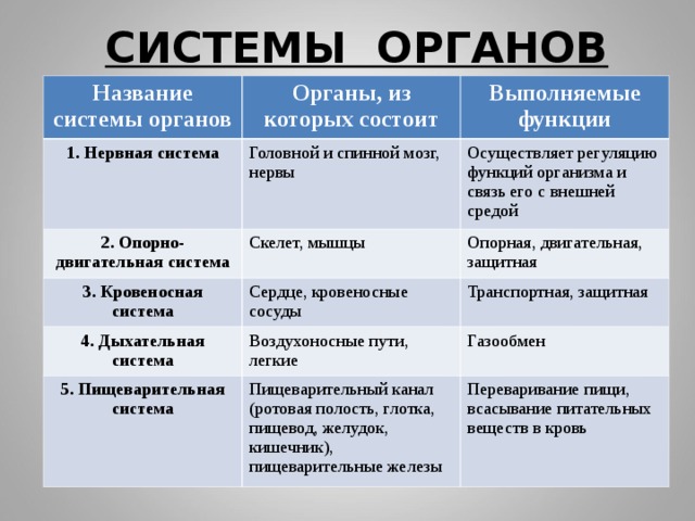 Функции органов