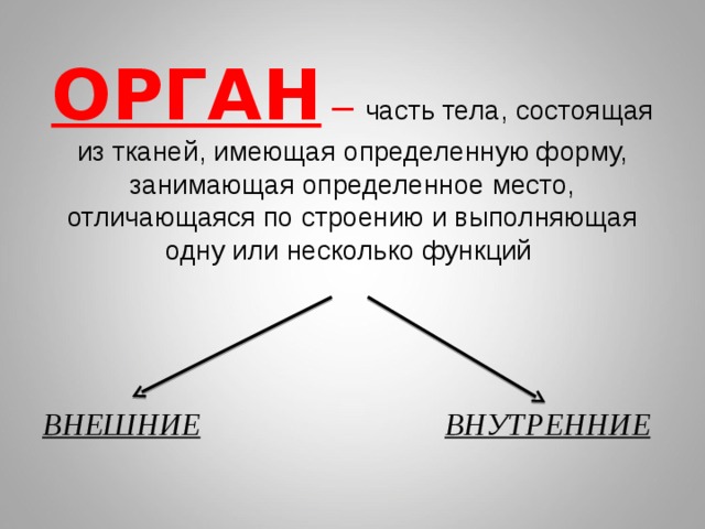 ОРГАН –  часть тела, состоящая из тканей, имеющая определенную форму, занимающая определенное место, отличающаяся по строению и выполняющая одну или несколько функций ВНЕШНИЕ  ВНУТРЕННИЕ 