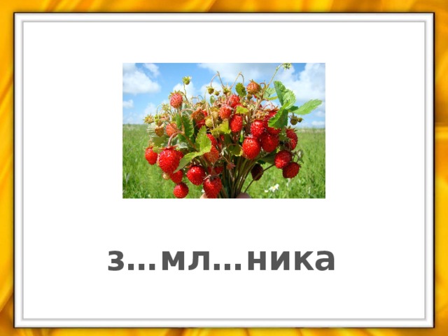 з…мл…ника