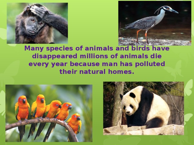 Disappearing animals. Disappearance of certain species of Plants and animals. Animals in our Life презентация. Endangered animals topic. The disappearance of animals.