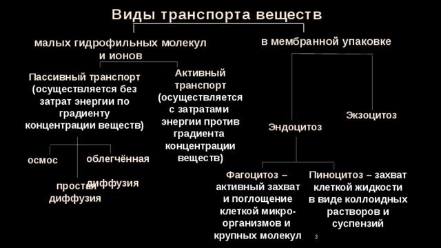 Виды транспорта веществ в мембранной упаковке малых гидрофильных молекул и ионов Активный транспорт (осуществляется с затратами энергии против градиента концентрации веществ) Пассивный транспорт (осуществляется без затрат энергии по градиенту концентрации веществ) Экзоцитоз Эндоцитоз облегчённая диффузия осмос Фагоцитоз – активный захват и поглощение клеткой микро- организмов и крупных молекул Пиноцитоз – захват клеткой жидкости в виде коллоидных растворов и суспензий простая диффузия 3 