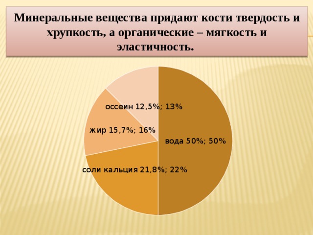 Неорганические вещества придают кости твердость