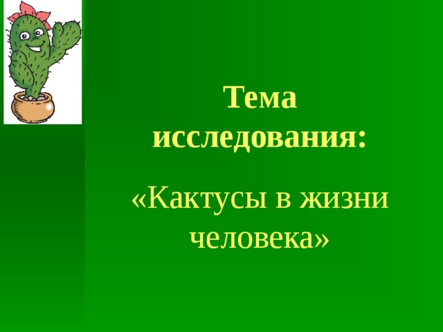 Кактусы в жизни человека