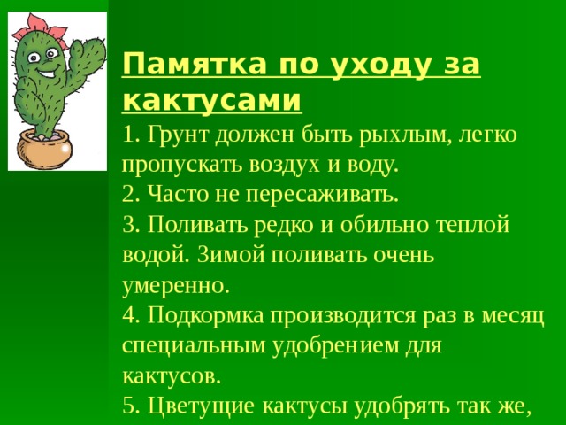 Кактусы проект 4 класс