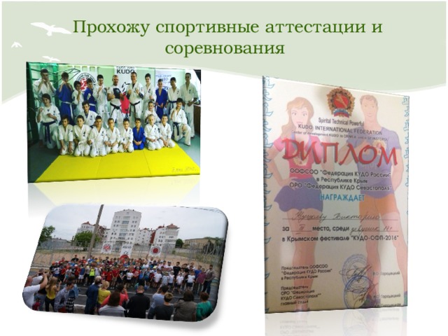 Прохожу спортивные аттестации и соревнования 