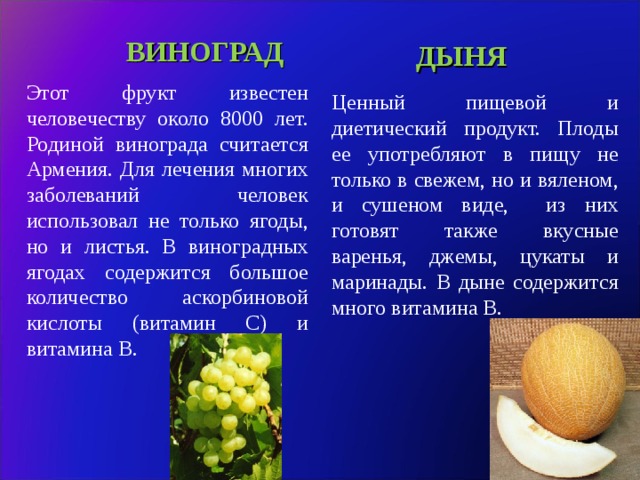 Происхождение дыни. Дыня это фрукт или овощ или ягода. Дыня это ягода или фрукт. Дыня это ягода или овощ. Тыквина дыни это плод.
