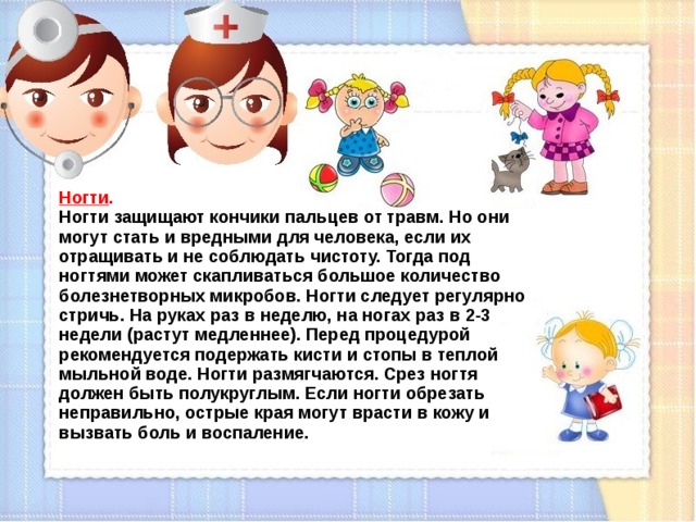 Ногти .  Ногти защищают кончики пальцев от травм. Но они могут стать и вредными для человека, если их отращивать и не соблюдать чистоту. Тогда под ногтями может скапливаться большое количество болезнетворных микробов. Ногти следует регулярно стричь. На руках раз в неделю, на ногах раз в 2-3 недели (растут медленнее). Перед процедурой рекомендуется подержать кисти и стопы в теплой мыльной воде. Ногти размягчаются. Срез ногтя должен быть полукруглым. Если ногти обрезать неправильно, острые края могут врасти в кожу и вызвать боль и воспаление.  