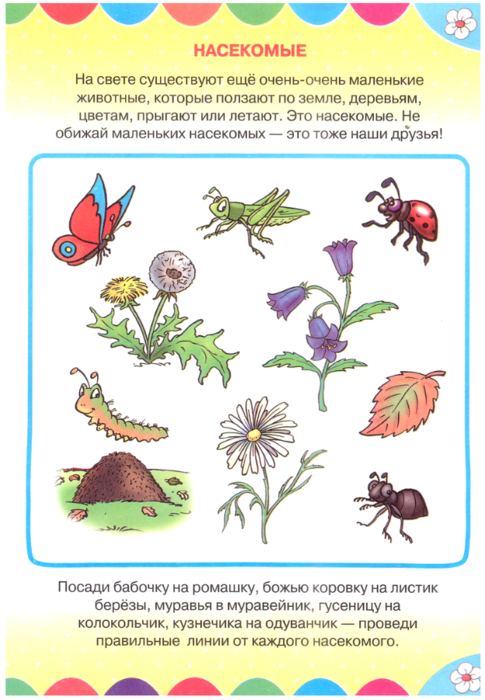 Задания насекомые для детей 3-4 лет. Насекомые задания для дошкольников. Насекомые задания для детей 3 лет. Насекомые задания для 3-4 лет.