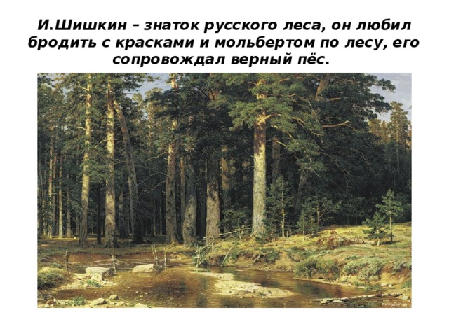 И.Шишкин – знаток русского леса, он любил бродить с красками и мольбертом по лесу, его сопровождал верный пёс. 