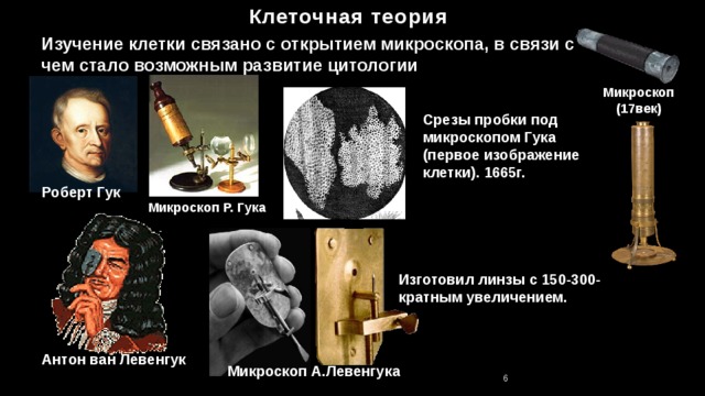 Клеточная теория Изучение клетки связано с открытием микроскопа, в связи с чем стало возможным развитие цитологии Микроскоп(17век) Срезы пробки под микроскопом Гука (первое изображение клетки). 1665г. Роберт Гук Микроскоп Р. Гука Изготовил линзы с 150-300-кратным увеличением. Антон ван Левенгук Микроскоп А.Левенгука 6 