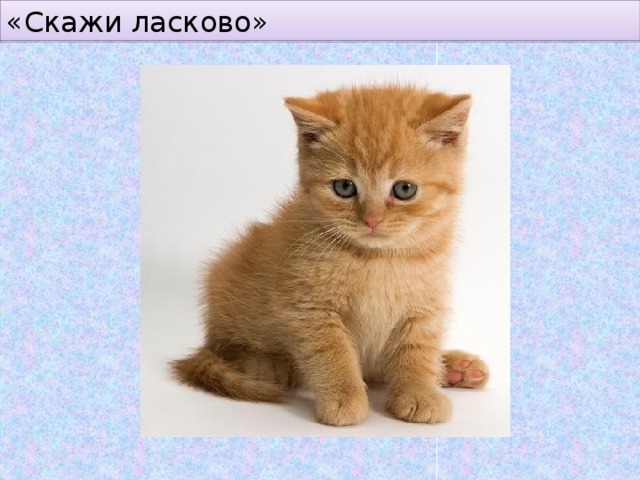 «Скажи ласково» 