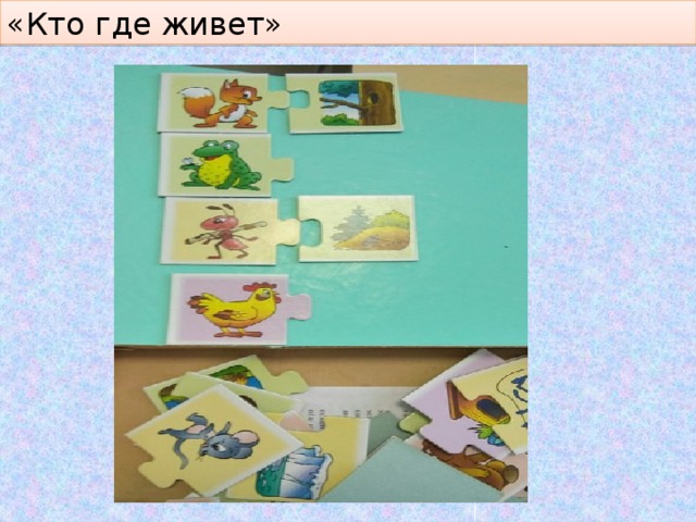 «Кто где живет» 