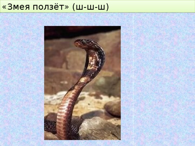 «Змея ползёт» (ш-ш-ш) 