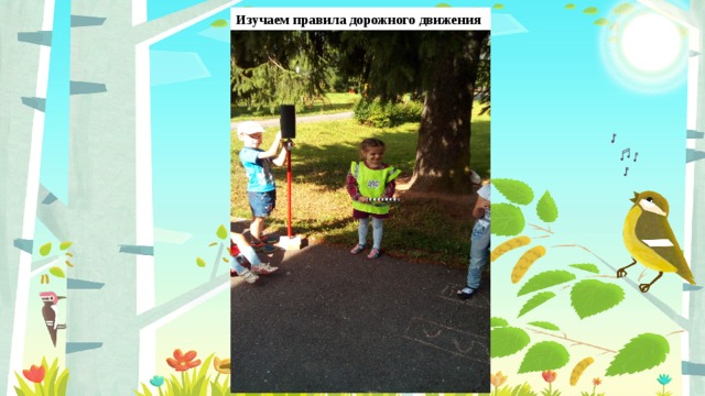 Изучаем правила дорожного движения 