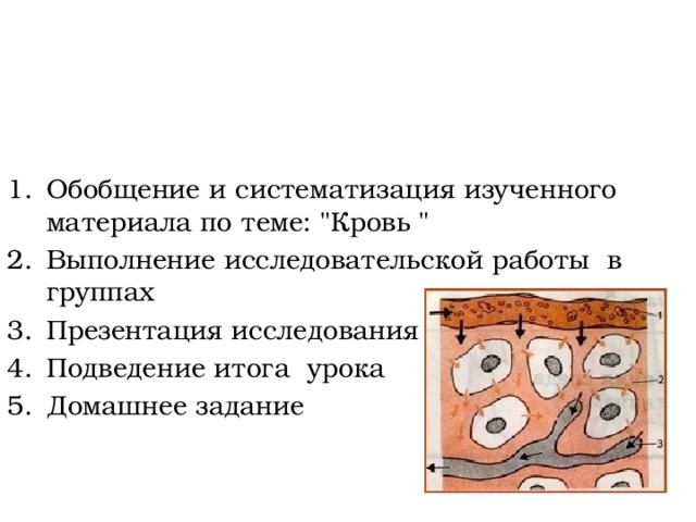 План урока Обобщение и систематизация изученного материала по теме: 