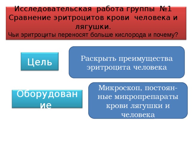 Исследовательская работа группы №1 Сравнение эритроцитов крови человека и лягушки. Чьи эритроциты переносят больше кислорода и почему? Раскрыть преимущества эритроцита человека Цель Микроскоп, постоян-ные микропрепараты крови лягушки и человека Оборудование 