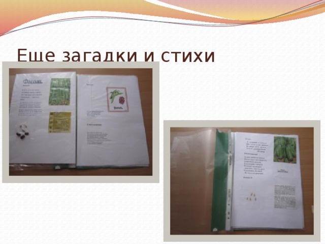 Еще загадки и стихи 