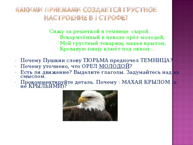 Стихотворение орел молодой. Вскормлённый в неволе орёл молодой. Сижу за решёткой в темнице сырой вскормлённый в неволе Орел молодой. Вскормленный в неволе. Вскормлённый в неволе орёл молодой стих.