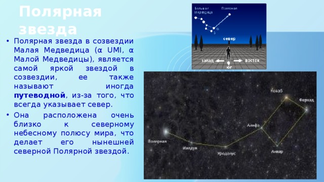 Полярная звезда в северном полушарии. Полярная звезда Созвездие. Малая Медведица и Полярная звезда. Рассказ о полярной звезде. Как называется Полярная звезда.