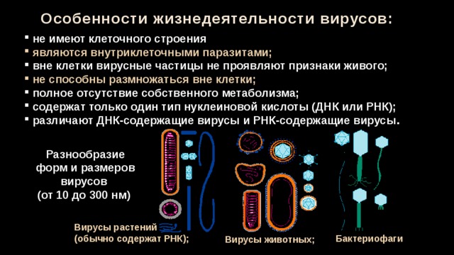 Особенности жизнедеятельности вирусов:  не имеют клеточного строения  являются внутриклеточными паразитами;  вне клетки вирусные частицы не проявляют признаки живого;  не способны размножаться вне клетки;  полное отсутствие собственного метаболизма;  содержат только один тип нуклеиновой кислоты (ДНК или РНК);  различают ДНК-содержащие вирусы и РНК-содержащие вирусы . Разнообразие форм и размеров вирусов (от 10 до 300 нм) Вирусы растений  (обычно содержат РНК); Бактериофаги Вирусы животных; 