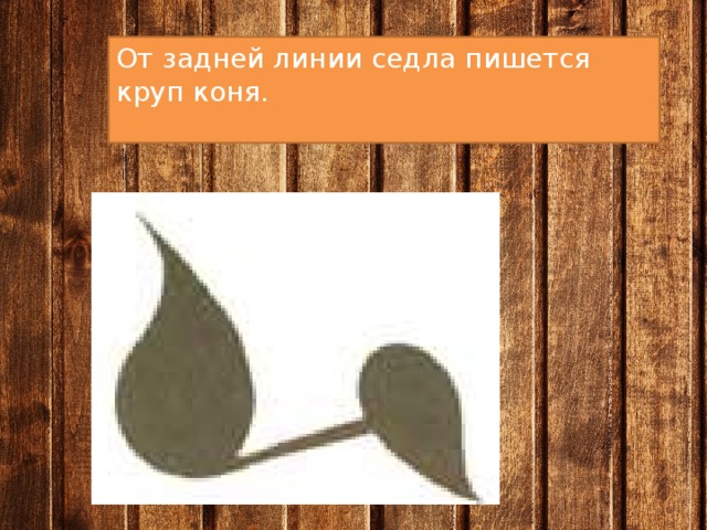 От задней линии седла пишется круп коня. 