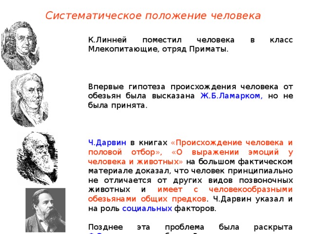 Представление о происхождении. Гипотезы происхождения человека Линней. Гипотезы происхождения человека Линней Ламарк Дарвин. Гипотеза Линнея о происхождении человека. Линней о происхождении человека.