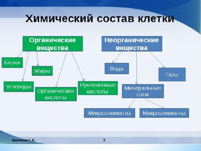 Братякова С.Б.  