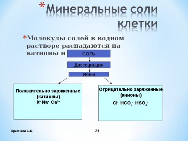 Функции обмена минеральных солей