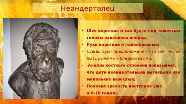 Неандерталец  Шея короткая и как будто под тяжестью головы наклонена вперёд ; Руки короткие и лапообразные ; Существуют предположения, что они могли быть рыжими и бледнолицыми;  Анализ костного строения показывает, что дети неандертальцев выглядели как маленькие взрослые; Половая зрелость наступала уже  к 8-10 годам; 
