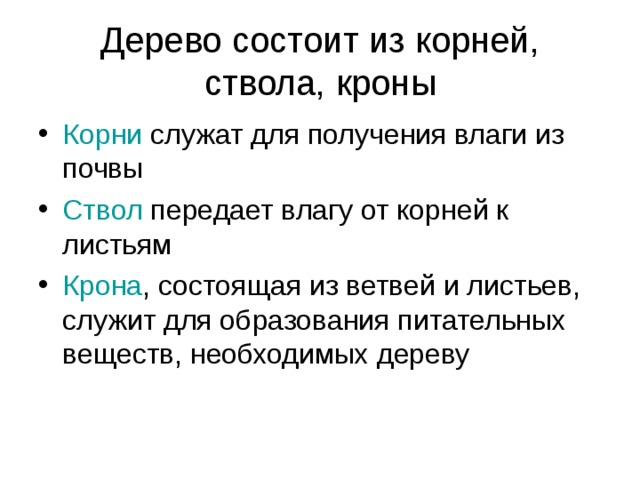 Дерево состоит из корней, ствола, кроны Корни служат для получения влаги из почвы Ствол передает влагу от корней к листьям Крона , состоящая из ветвей и листьев, служит для образования питательных веществ, необходимых дереву 