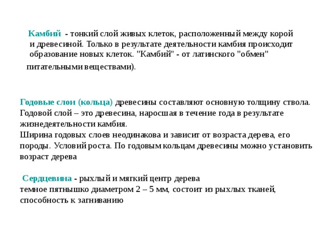  Камбий  - тонкий слой живых клеток, расположенный между корой и древесиной. Только в результате деятельности камбия происходит образование новых клеток. 