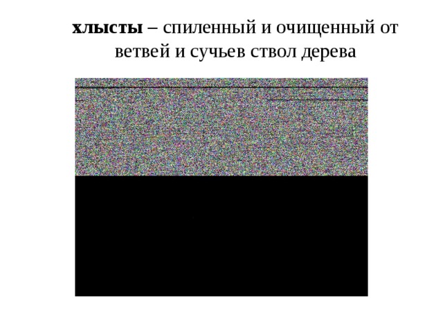хлысты – спиленный и очищенный от ветвей и сучьев ствол дерева 