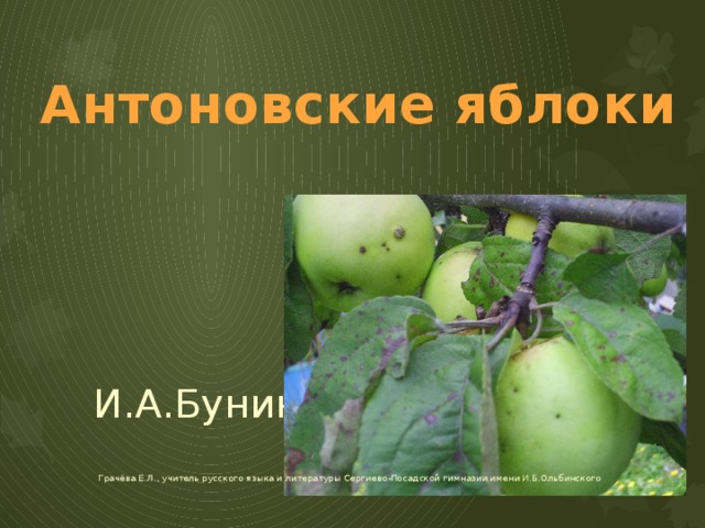 Сергиево-Посадская гимназия имени И.Б.Ольбинского Антоновские яблоки И.А.Бунин Грачёва Е.Л., учитель русского языка и литературы Сергиево-Посадской гимназии имени И.Б.Ольбинского Грачёва Е.Л., учитель русскогоязыка и литературы 